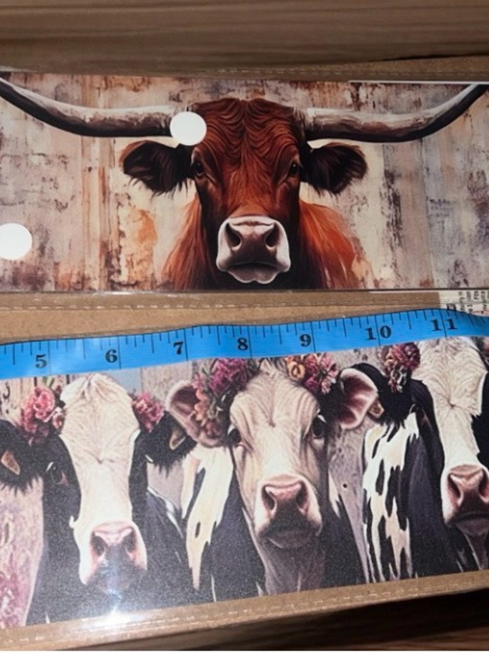 Longhorn and Heifers metal signs #404